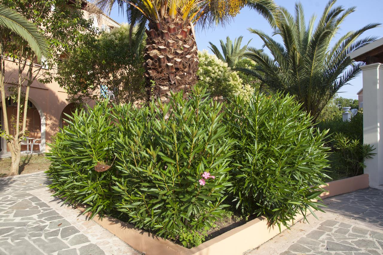 فندق Corfugrace Sidárion المظهر الخارجي الصورة